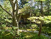 木々の奥に待合・・